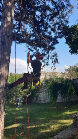 Alpintechnika, faágon lógás heveder segítségével
