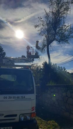 Faágak vágása emelőkocsi segítségével