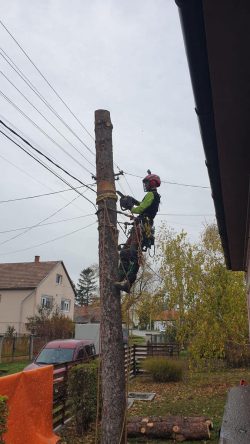 Fametszés kibiztosítva